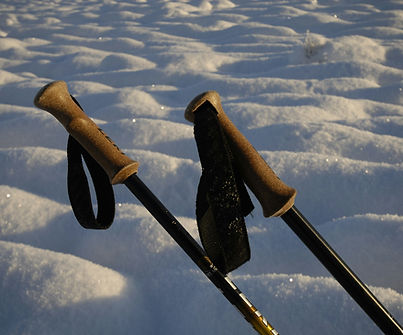 Image by Chris J Walker