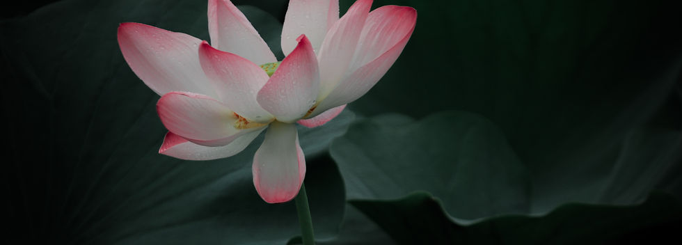 Image by ARTO SURAJ