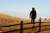 Image by Michael Rosner-Hyman
