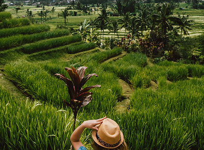 Indonesia, with over 17,000 islands, is a land of contrast. Myriad cultures have spawned many languages, art forms and foods, while Christians, Muslims, Animists and Buddhists are all found in this sprawling tropical paradise. The natural diversity defies comprehension: from volcanoes to rain forests, home to orangutans, and from highland lakes to gorgeous beaches, the country's beauty is impossible to describe. Add to this ancient ruins, bustling cities and tribal villages and you have a country unique to this world.
This adventurous tour of Indonesia shows you Sumatra, Java and Bali in a three-week highlights holiday.