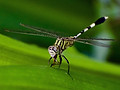 Image by lalit sehgal