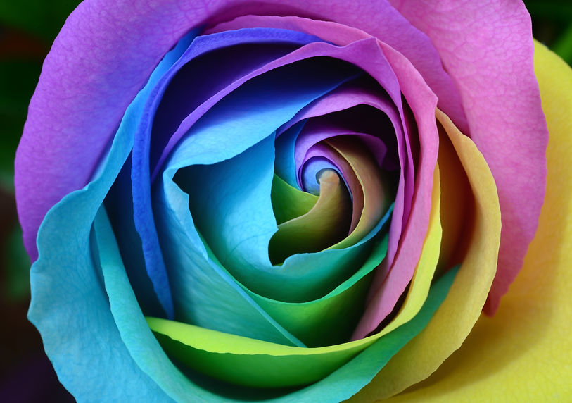 Image by Laura Ockel