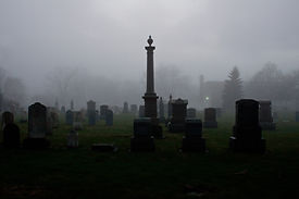 Image by Scott Rodgerson