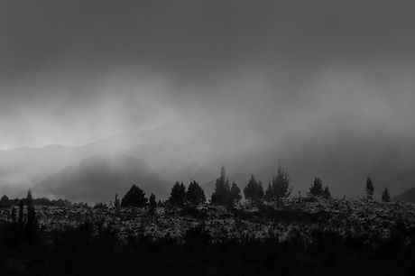 Image by Melanie Dretvic