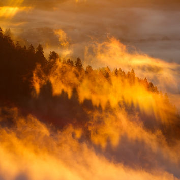 Image by Neven Krcmarek
