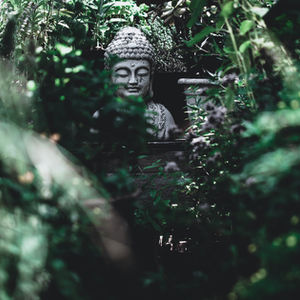 Un blog en el que la Naturaleza tiene voz