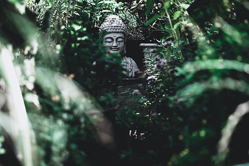Image by Patrick Connor Klopf