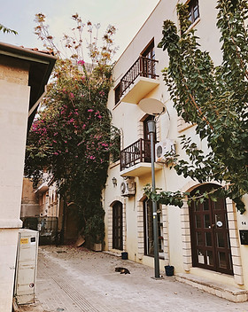 Image by Tania Mousinho