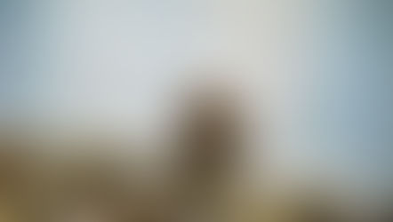 Staying Balanced & Healthy in Difficult Times