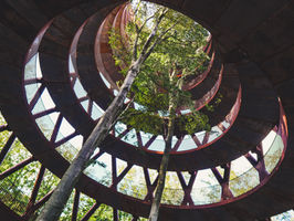 Image by Diego Gennaro