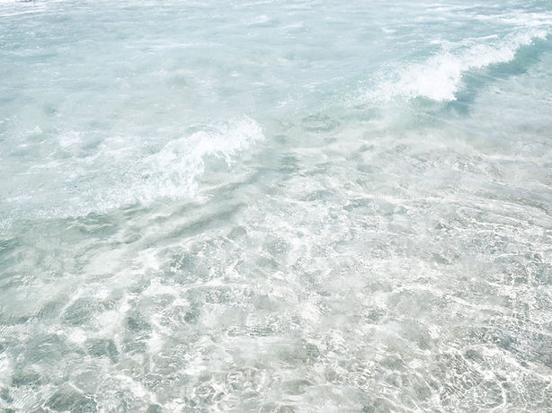 Image by elizabeth lies