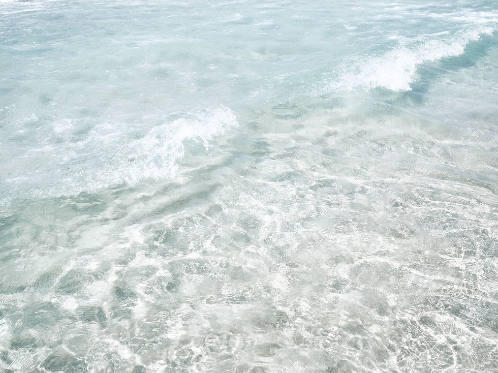 Image by elizabeth lies
