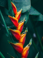 Image by Marc Babin