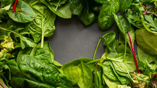 Spinach Blog Post By Tom Midford