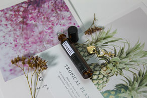 5 Fleurs de Bach Indispensables pour un Hiver doux et harmonieux