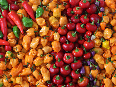 Jalapeñosiroop: Voeg Pittigheid Toe aan je Cocktails