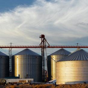 Row of silver grain silos with a red conveyor tower under a dramatic cloudy sky, lit by warm low sun at an industrial site.