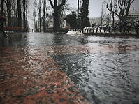 Image by Igor Tudoran