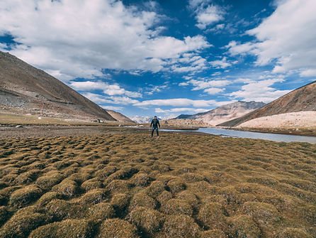 Enchanting Leh-Ladakh Tour
