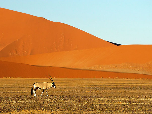 autotour namibie