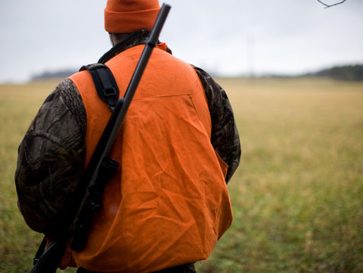 Hunter in the Field