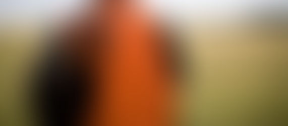 Big game licence draw now open 