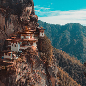 Image by Aaron Santelices
