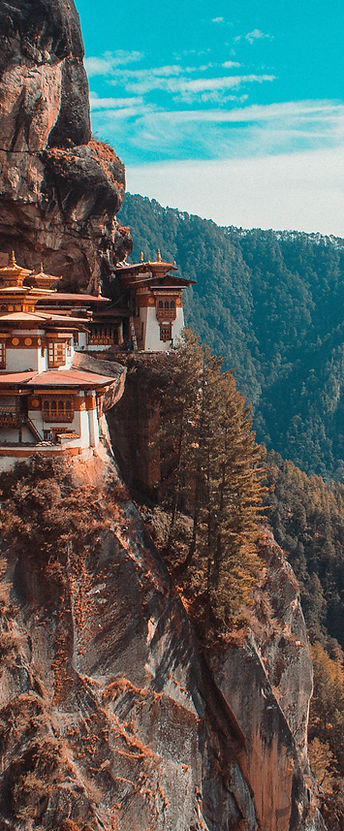 Image by Aaron Santelices