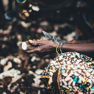 Image by Annie Spratt