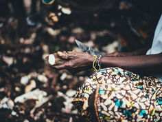 Cassava in Brazil explained: What is the difference between Mandioca, Aipim, Macaxeira, Yuca Root, and Tapioca?
