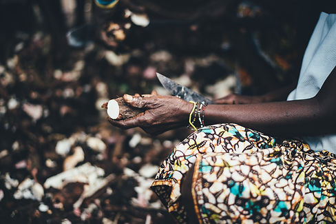 Image by Annie Spratt