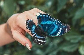 Image by Christian Wiediger