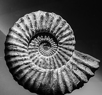 Image by Jossuha Théophile