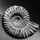 Image by Jossuha Théophile