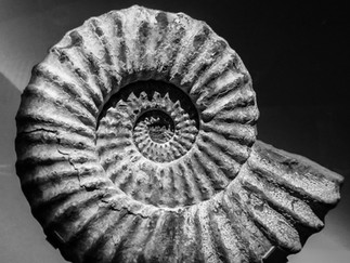 Σύνθεση στη φωτογραφία. Βασικές αρχές από τον Γιώργο Τατάκη