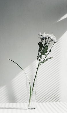 Image by Imani Bahati