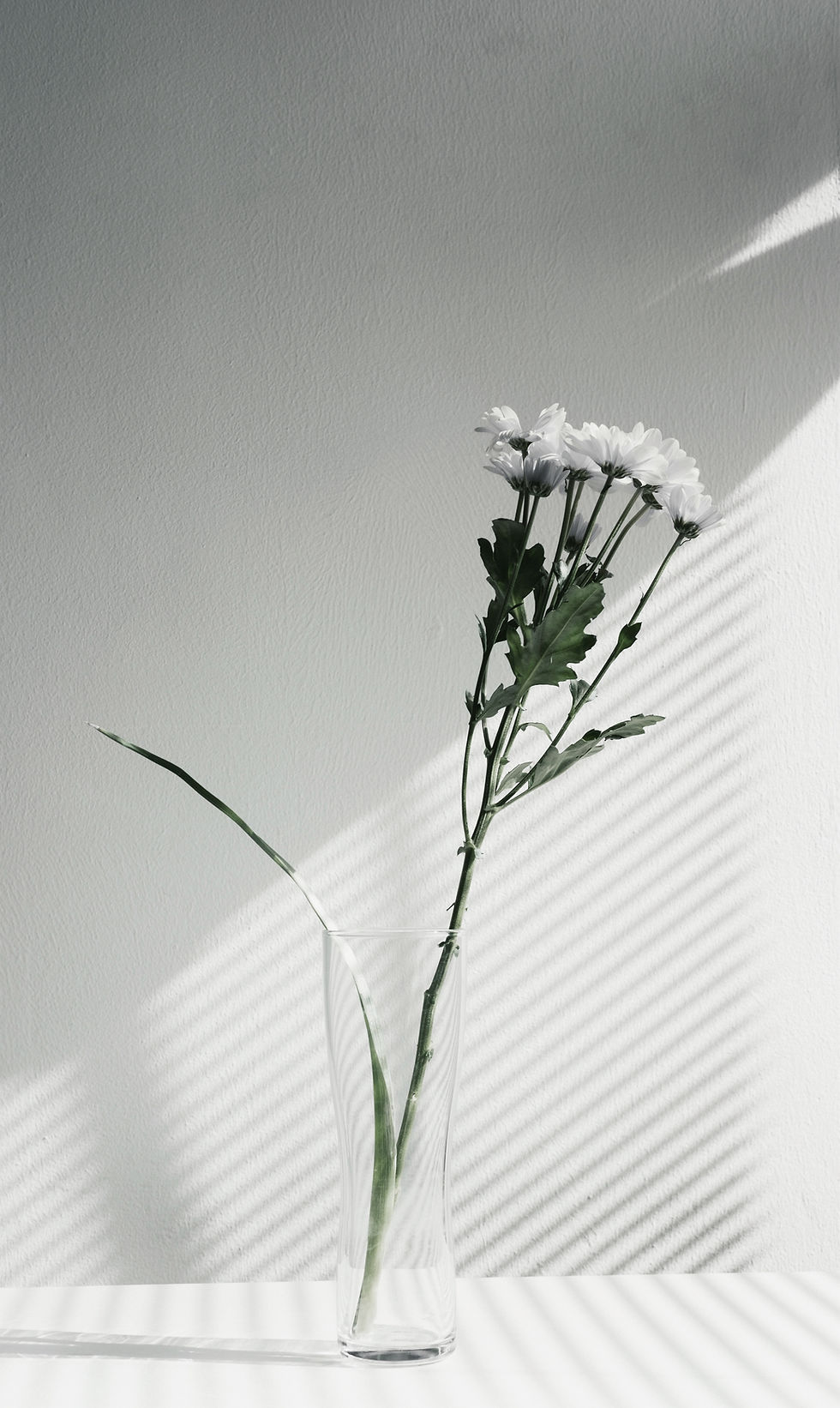 foto em preto e branco, flores em um copo de vidro com sombra de janela refletindo na parede branca atrás
