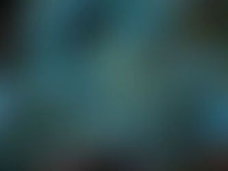 Close-up of lush, green-blue Echeveria succulents with layered petals. Some leaves have light dew, set against dark soil and leaves.