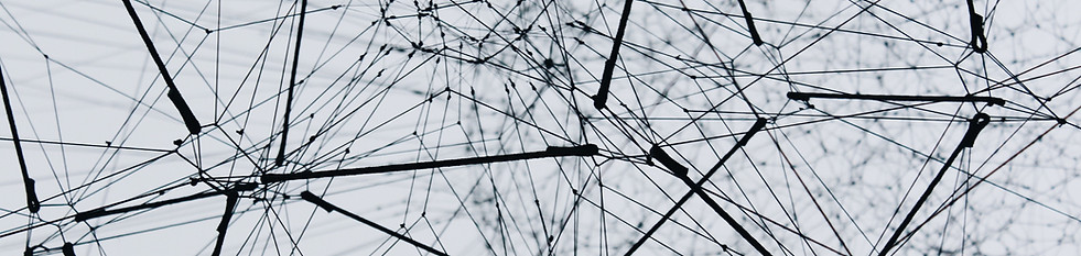 Image by Alina Grubnyak