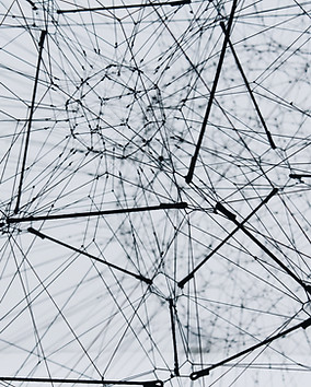 Image by Alina Grubnyak