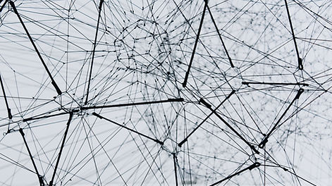 Image by Alina Grubnyak