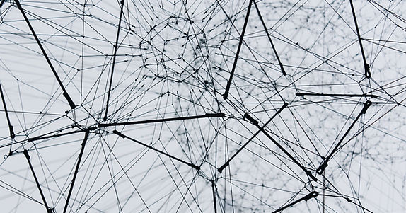 Image by Alina Grubnyak