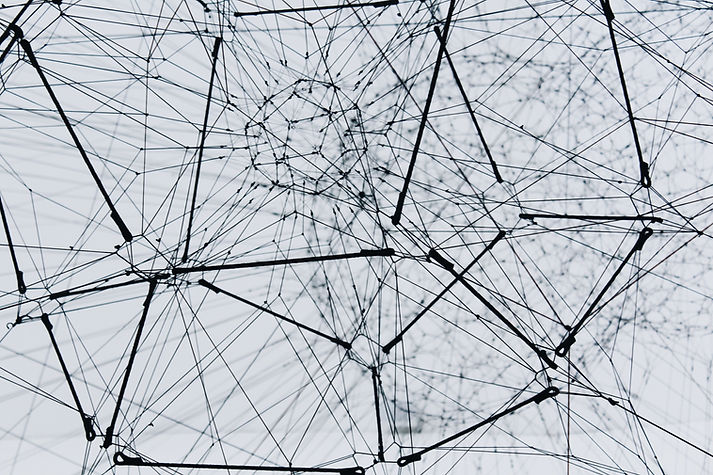 Image by Alina Grubnyak