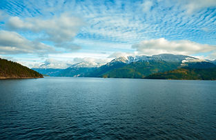 Image by Lucas Mitchell