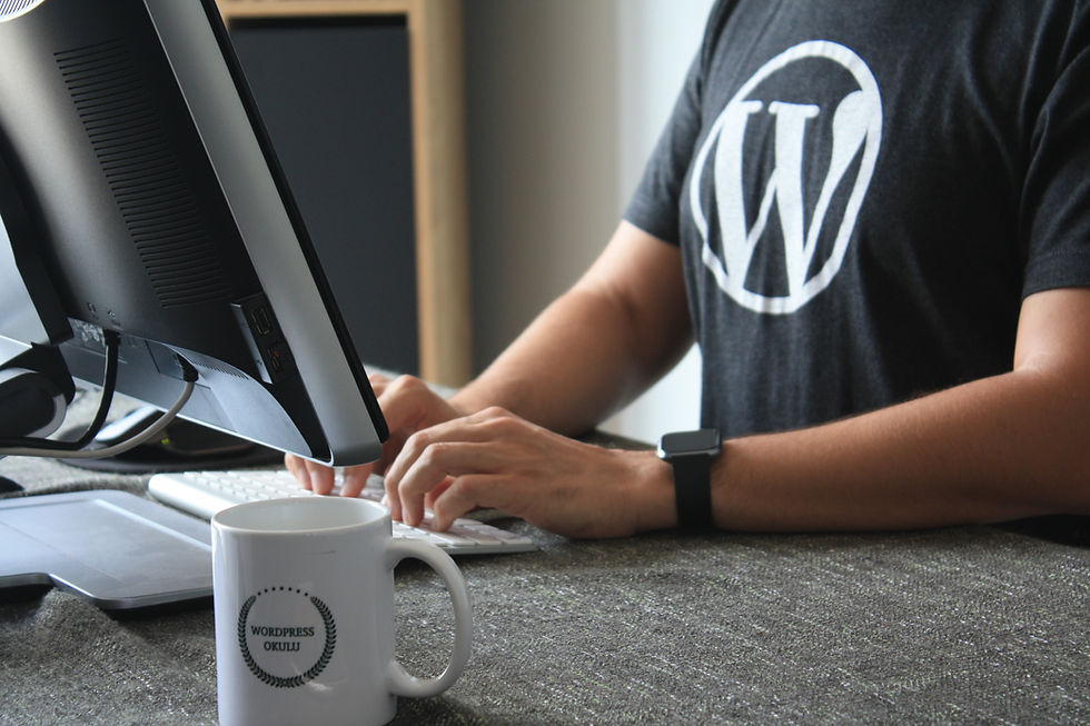 WordPress blog