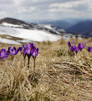 Image by Biegun Wschodni