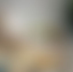 Enrichment for Dogs: What It Is (and What It Isn’t) 🐾