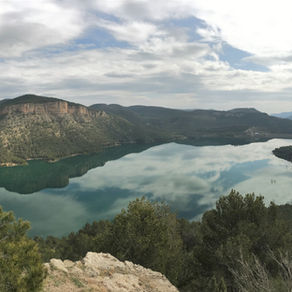 LOOKING BACK TO MOVE FORWARD