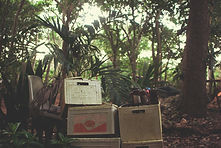 Image by Jorge Zapata