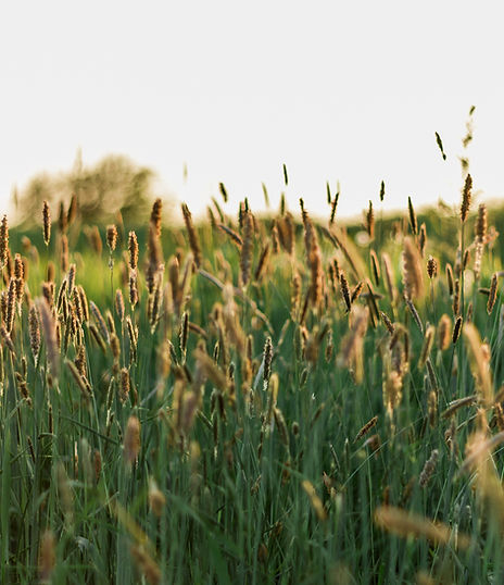 Image by Jonas Weckschmied
